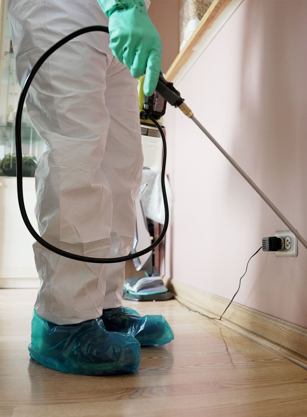 Pest Maintenance Plans