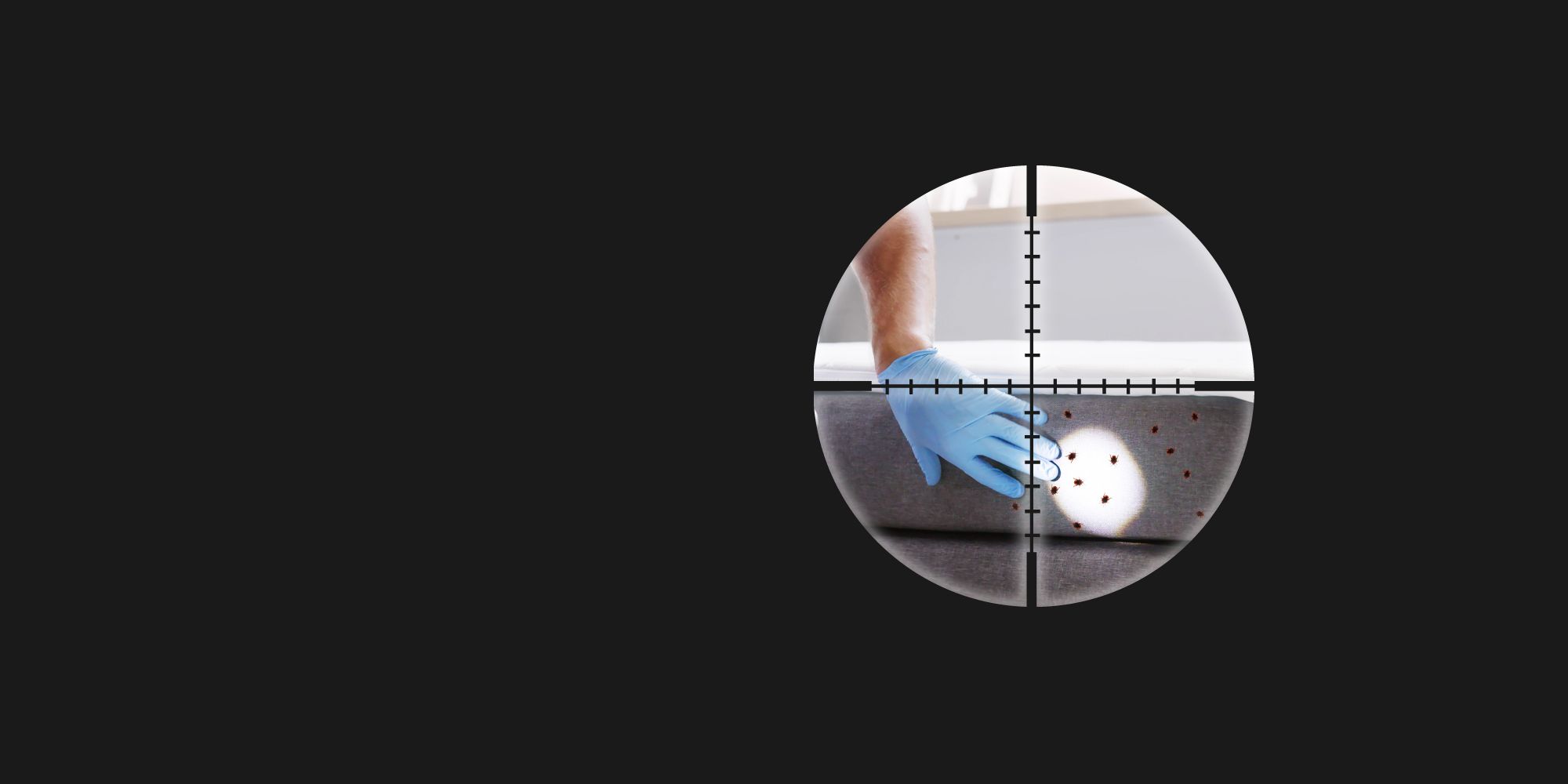 Expert Gloucester Pest Control