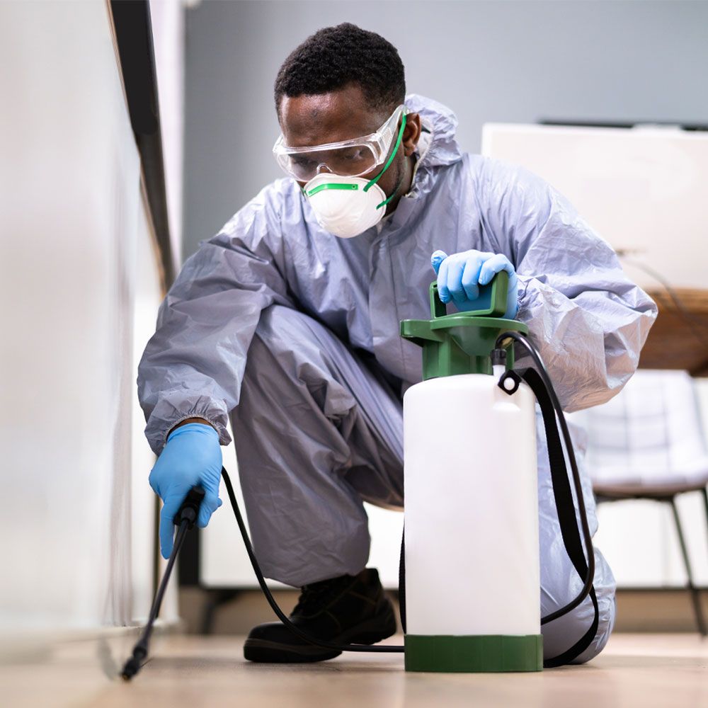 Pest Control for Insects