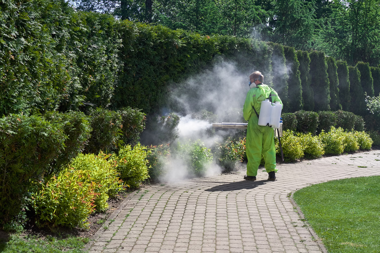 Fogging Treatments - ZJ Pest Solutions